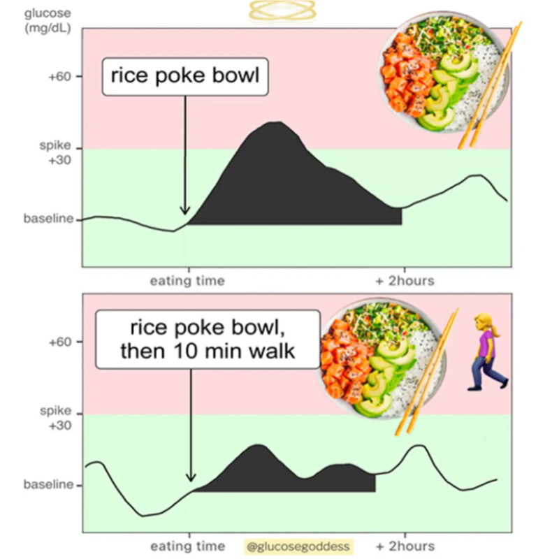 Figure 2. Graphs showing glucose levels after eating a rice poke bowl vs. eating a rice poke bowl then walking for 10 minutes. Walking after eating significantly lowers glucose absorption.